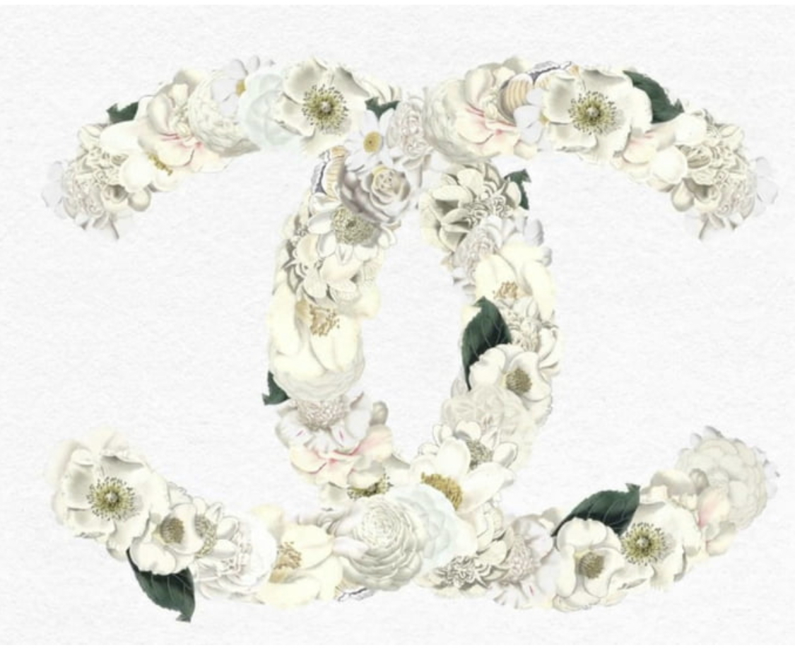 Camelias” la flor de Chanel ELLE Education | ELLE Education
